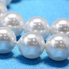 Round Shell Pearl Bead Strands BSHE-L011-12mm-A013-4