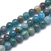 Natural Apatite Beads Strands G-I254-08A-1