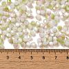 Baking Painted Glass Seed Beads SEED-C004-03B-4