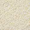 11/0 Grade A Ceylon Glass Seed Beads X-SEED-N001-B-0482-2