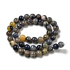 Natural Sodalite Beads Strands G-F591-13-3