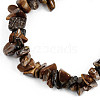 Unisex Chip Natural Tiger Eye Beaded Stretch Bracelets X-BJEW-S143-02-4