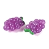 Imitation Jelly Effect Acrylic Beads OACR-N126-08A-2