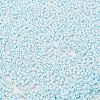 Baking Paint Glass Seed Beads X-SEED-S042-05B-64-3