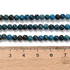 Natural Chrysocolla Beads Strands G-C289-B02-4mm-5