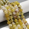 Faceted Natural Fire Crackle Agate Beads Strands G-F447-12mm-N02-2
