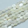 Natural Grey Moonstone Beads Strands G-D0002-B42-1