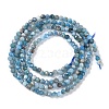 Natural Apatite Beads Strands G-G139-A02-01-3