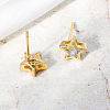 Fashionable Pentagram Brass Stud Earrings MI7430-2