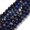 Natural South Africa Sodalite Beads Strands G-S259-35-12mm-01-4