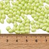 Baking Painted Glass Seed Beads SEED-C004-04K-4