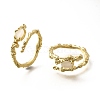 Oval Brass Cat Eye Cuff Rings for Women RJEW-U042-01G-01-4