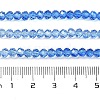 Transparent Painted Glass Beads Strands DGLA-A034-T3mm-A01-3