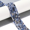 Natural Sodalite Beads Strands X-G-G139-A07-03-2