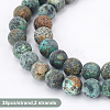 Frosted Natural African Turquoise(Jasper) Round Beads Strands G-OC0001-79A-3