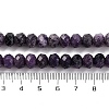 Natural Lepidolite Beads Strands G-K380-A13-01-5