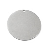 304 Stainless Steel Pendants STAS-F271-02F-P-2