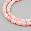 Natural Freshwater Shell Beads Strand SHEL-T017-39B-3