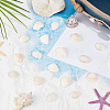 300Pcs Natural Shell Beads SSHEL-SP0001-03-4