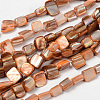 Erose Natural Shell Beads Strands PBB069Y-1