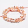 Faceted Natural Fire Crackle Agate Beads Strands G-F447-6mm-B03-3