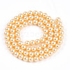 Baking Painted Pearlized Glass Pearl Bead Strands HY-N002-5mm-A09-3