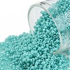 TOHO Round Seed Beads SEED-XTR11-0055-1