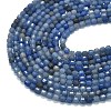 Natural Blue Aventurine(Dyed & Heated) Beads Strands G-A260-A08-01-3