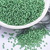 MIYUKI Round Rocailles Beads SEED-JP0008-RR0646-1
