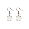 Stainless Steel Earring Hooks STAS-TA0004-02A-3