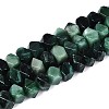 Natural Fuchsite Beads Strands G-N327-05-30-4