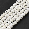 Natural Freshwater Shell Beads Strands BSHE-E026-17-1