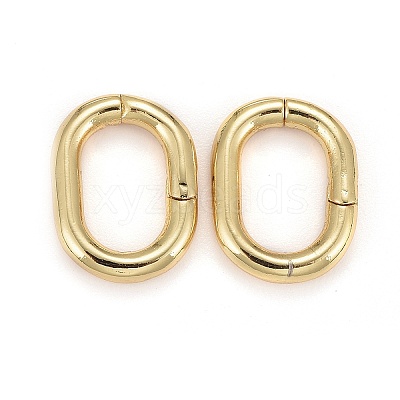 Brass Twister Clasps X-KK-F821-02G-1