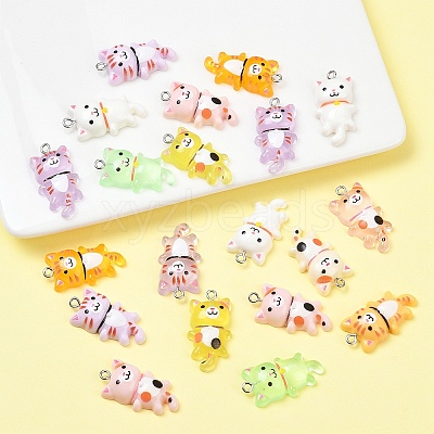 20Pcs 2 Styles Opaque Resin Pendants RESI-YW0005-29-1