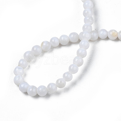 Natural Freshwater Shell Beads Strands SHEL-N003-24-A01-1