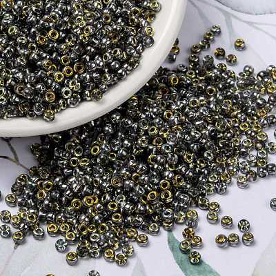 MIYUKI Round Rocailles Beads X-SEED-G008-RR4551-1