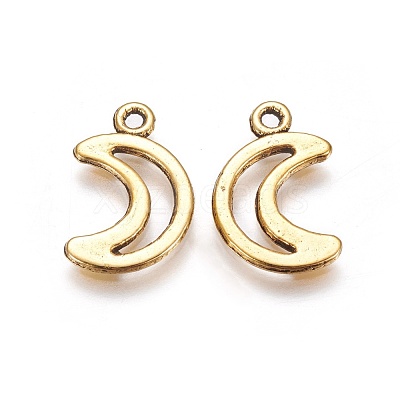 Tibetan Style Alloy Pendants GLF10650Y-1