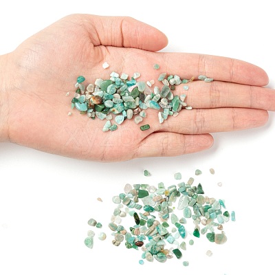 Natural Amazonite Chip Beads G-FS0001-16-1
