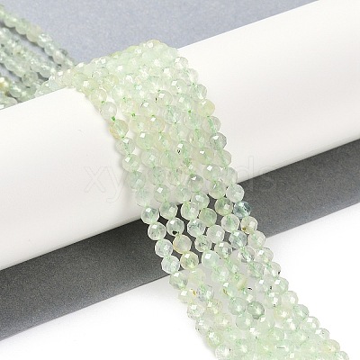 Natural Prehnite Beads Strands G-G139-A05-03-1