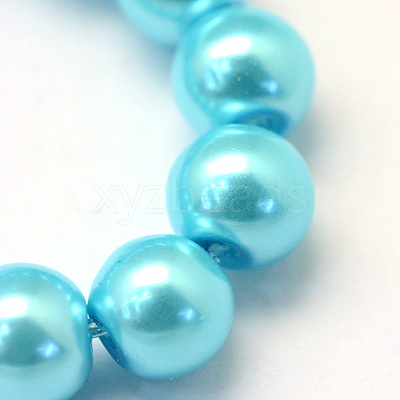 Baking Paint Pearlized Glass Pearl Round Bead Strands HY-Q003-12mm-48-1