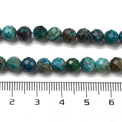 Natural Chrysocolla Beads Strands G-G927-15C-1