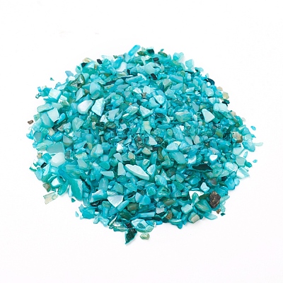 Natural Freshwater Shell Beads X-BSHE-I011-03B-1