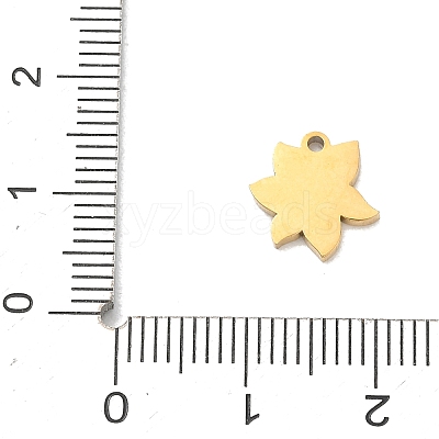 304 Stainless Steel Charms SA-CBA2714-01A-G-1