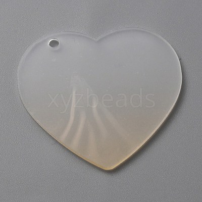 Gradient Transparent Acrylic Disc Big Pendants FIND-WH0032-54D-1