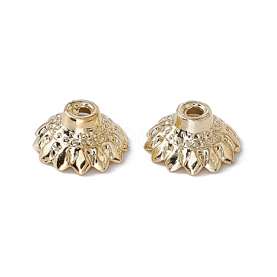 Alloy Beads Cap FIND-B013-22LG-1