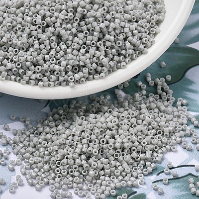 MIYUKI Delica Beads X-SEED-J020-DB2366-1