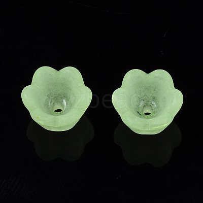 Transparent Acrylic Beads FACR-N005-001-1