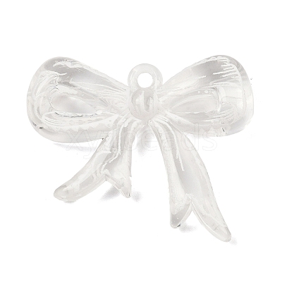 Printed Acrylic Pendants OACR-B036-15-1