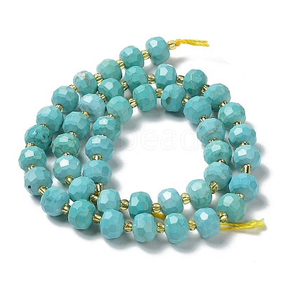 Natural Howlite Beads Strands G-E604-D01-B-1