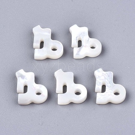Natural White Shell Beads X-SSHEL-ZX004-02K-1